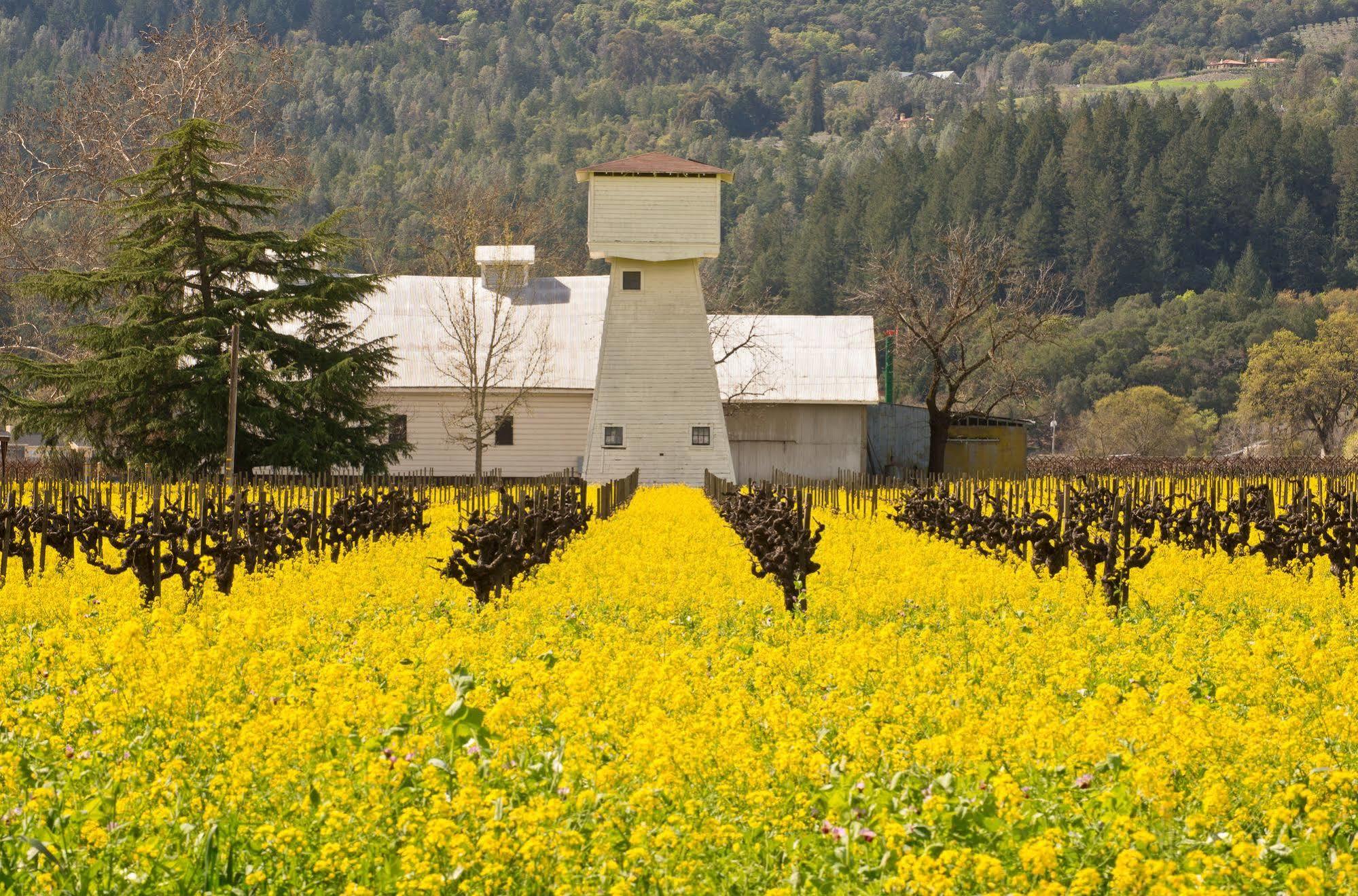 Shady Oaks Country Inn St. Helena Eksteriør bilde